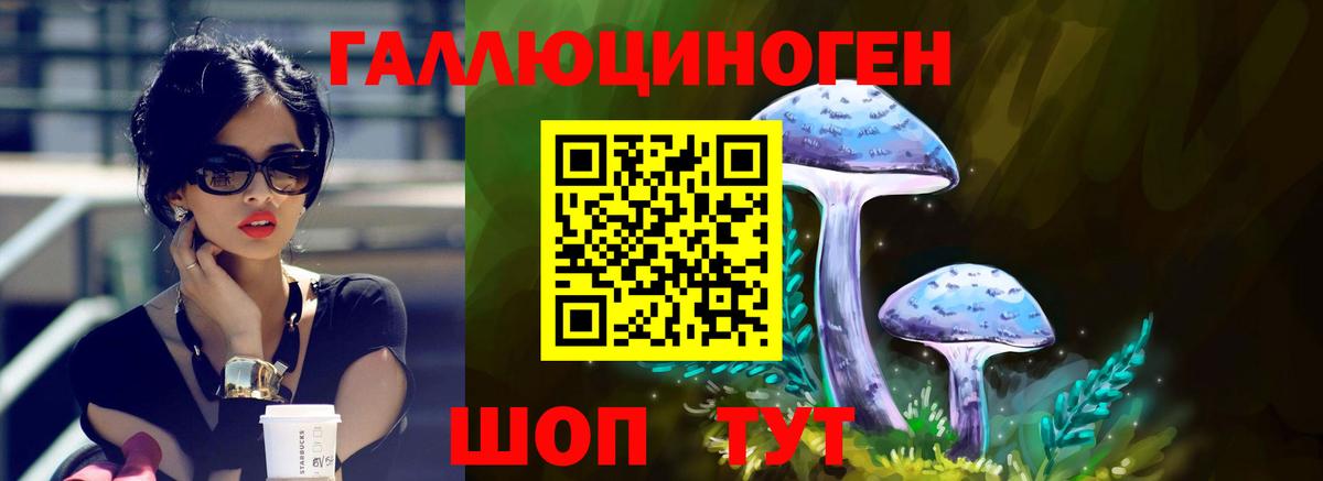 ГАШ  Выборг  МЕФ   Марихуана  Марихуана  Кодеин  Вход с VPN  Гашиш  Alpha PVP СК  